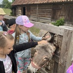 Na zdjęciu dziewczynki głaszczą i karmią osła