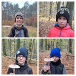 Chłopcy pozują do zdjęcia w lesie