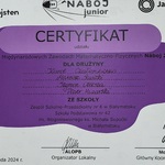 certyfikat udziału drużyny ósmoklasistów