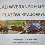 lekcja biologii klasy 6b