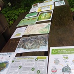 Informacje przyrodnicze na plakatch