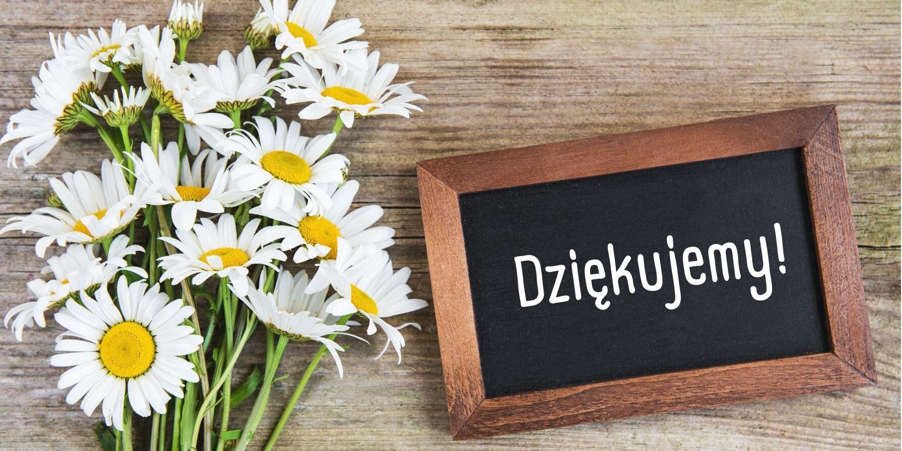 Głosowanie: Nauczyciel i Szkoła na Medal