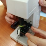 Uczeń umieszcza preparat z liścia moczarki kanadyjskiej pod mikroskopem_ przygotowując się do obserwacji komórek roślinnych