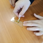 Uczeń umieszcza fragment liścia moczarki kanadyjskiej na szkiełku podczas przygotowywania preparatu mikroskopowego