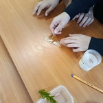 Uczniowie przygotowują preparat mikroskopowy z liścia spichrzowego cebuli