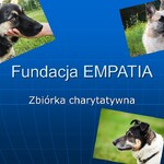 zdjęcia psów z Fundacji Empatia