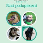 plakat z podopiecznymi Fundacji Empatia