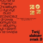 życzenia świateczne37.jpg