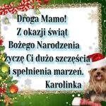 życzenia świateczne47.jpg