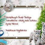 życzenia świateczne62.jpg