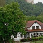 widok