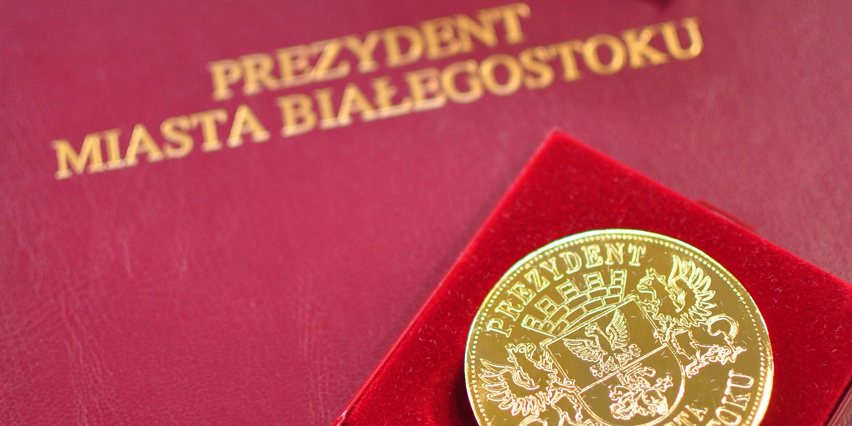 medal za plinosc.jpg