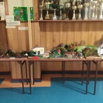 zdjęcie wystawy makiet Baśnioboru wykonanych przez uczniów