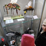 Wyjście kl. IIc do Planetarium i Obserwatorium